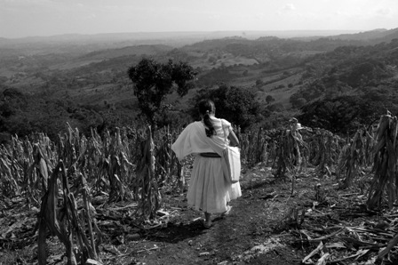 A woman walks through a cornfield in Xalcuahutla
