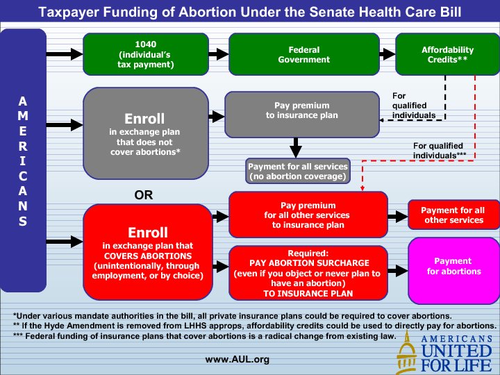 Abortion Funding Chart, jpeg