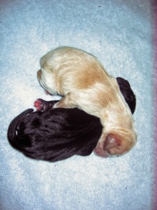 Brother and sister
