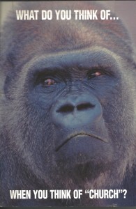 Gorilla and the Church