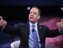 Reince Priebus, President-elect Trump's choice for chief of staff / Wikimedia - Gage Skidmore