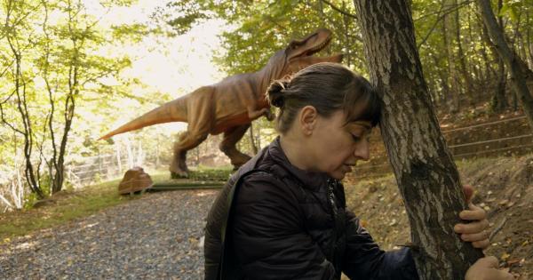 The Impossibility of a Saint